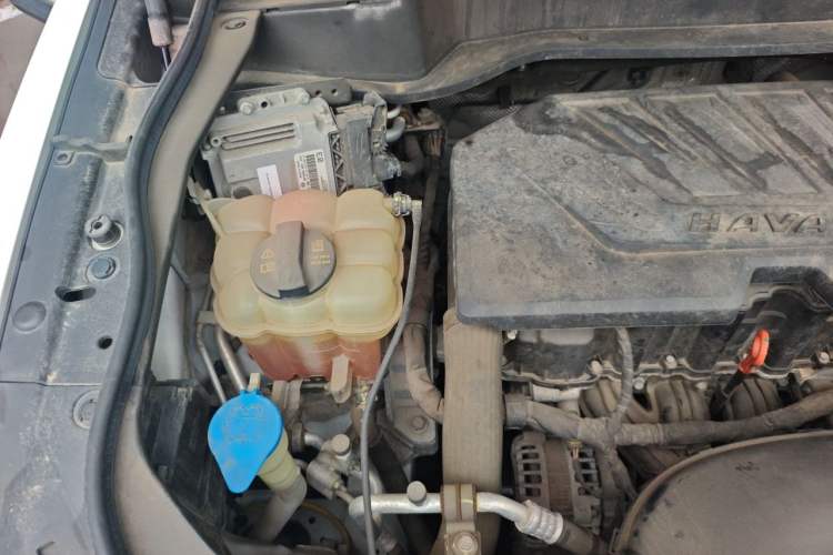 Used Haval F7 2019 1.5T Two-Wheel Drive i-Trend China V Emission Standard Engine Bay Right