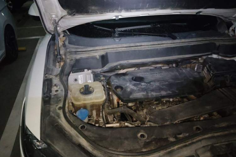 Used Haval F7 2019 2.0T Four-Wheel Drive iJoy China V Standard Engine Bay Right