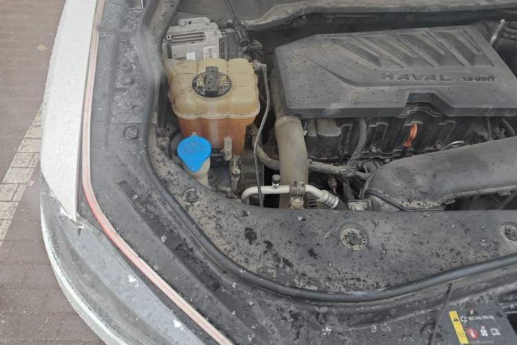 Used Haval F7 2019 1.5T Two-Wheel Drive i-Type China V Standard Engine Bay Right