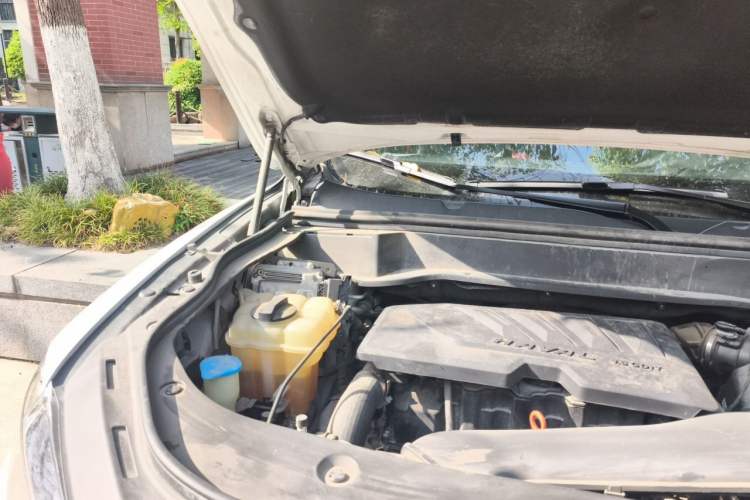 Used Haval F7 2019 1.5T Two-Wheel Drive i-Trend China V Emission Standard Engine Bay Right