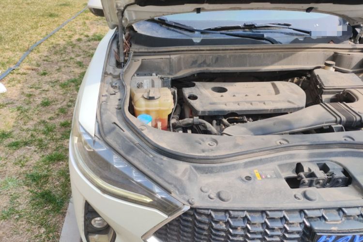 Used Haval F7 2019 2.0T Four-Wheel Drive iJoy China V Standard Engine Bay Right