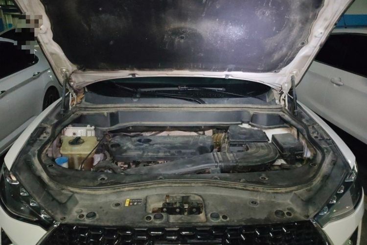 Used Haval F7 2019 2.0T Four-Wheel Drive iJoy China V Standard Engine Bay