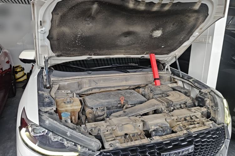 Used Haval F7 2019 1.5T Two-Wheel Drive i-Trend China VI Standard Engine Bay