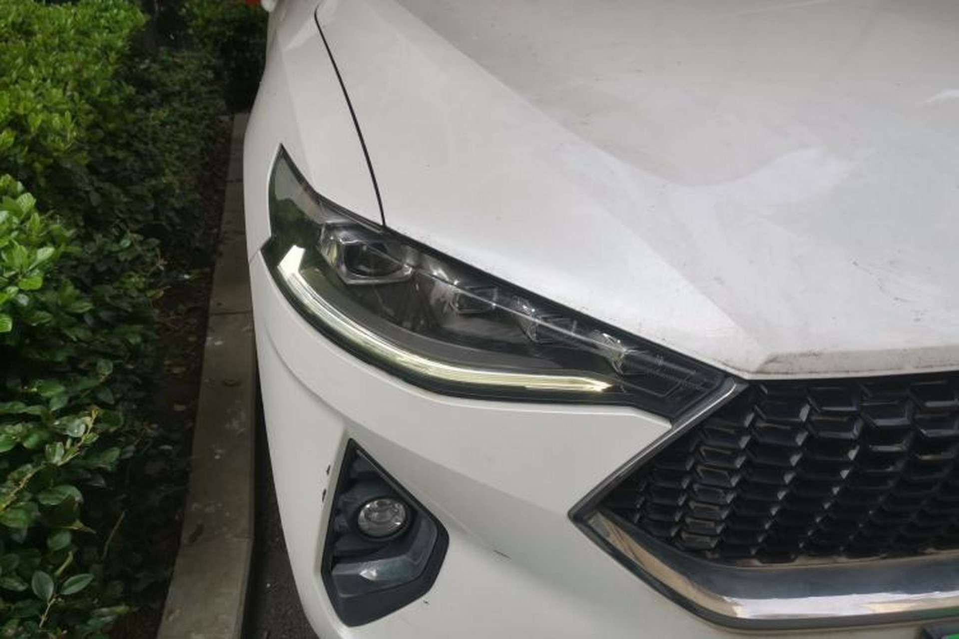 Used Haval F7 2019 1.5T Two-Wheel Drive i-Type China V Standard Exterior 6