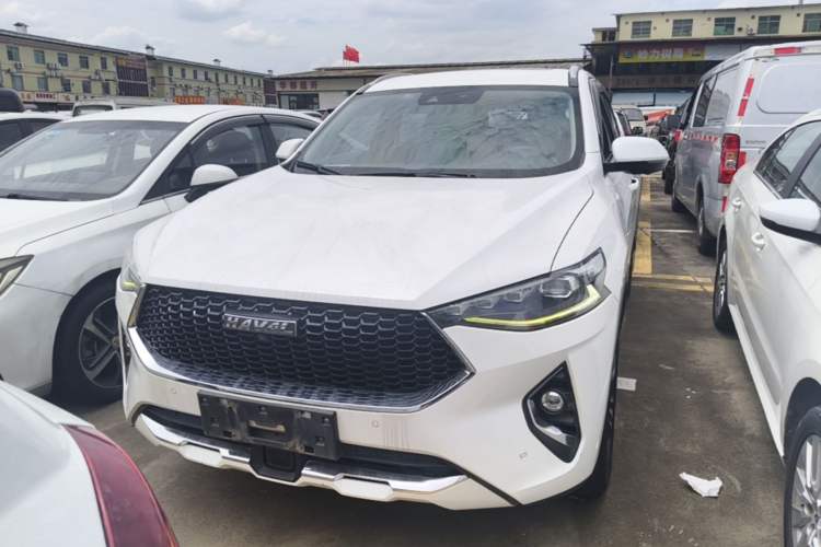 Used Haval F7 2019 2.0T Two-Wheel Drive i-Van China V standard Front
