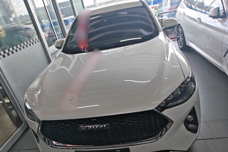 Used Haval F7 2019 2.0T Two-Wheel-Drive i-Van China VI Standard Front