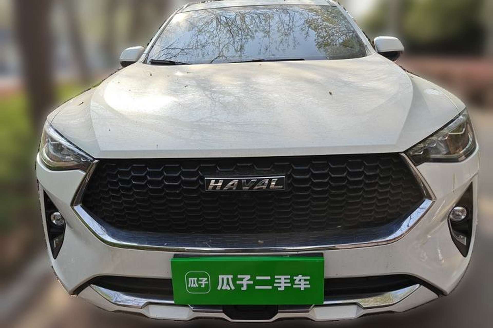 Used Haval F7 2019 1.5T Two-Wheel Drive i-Type China V Standard Front