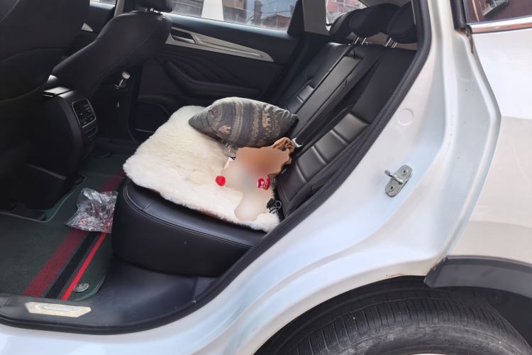 Used Haval F7 2019 2.0T Four-Wheel Drive iJoy China V Standard Left Rear Seat