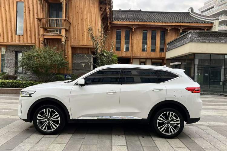 Used Haval F7 2019 2.0T Four-Wheel Drive iJoy China VI Standard Left Side