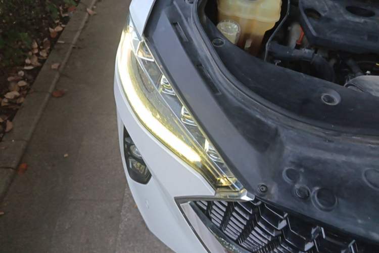 Used Haval F7 2019 2.0T Four-Wheel Drive iJoy China V Standard Right Front Headlight