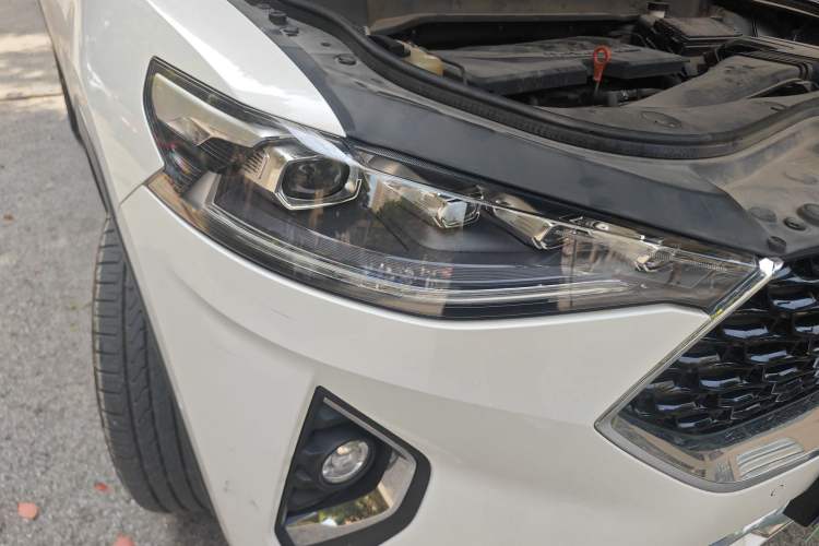 Used Haval F7 2019 1.5T Two-Wheel Drive i-Trend China V Emission Standard Right Front Headlight