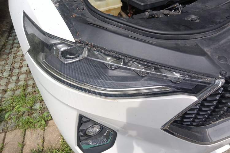 Used Haval F7 2019 2.0T Two-Wheel Drive i-Van China V standard Right Front Headlight