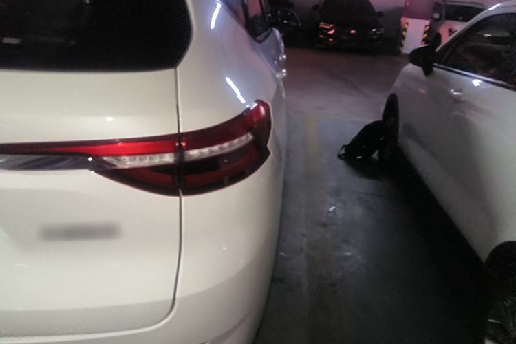 Used Haval F7 2019 1.5T Two-Wheel Drive i-Trend China V Emission Standard Right Rear Taillight