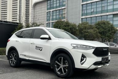 Used Haval F7 2019 1.5T Two-Wheel Drive i-Trend China VI Standard