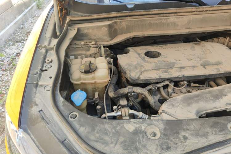 Used Haval F7 2019 2.0T Four-Wheel Drive 70th Anniversary Limited Edition Engine Bay Right
