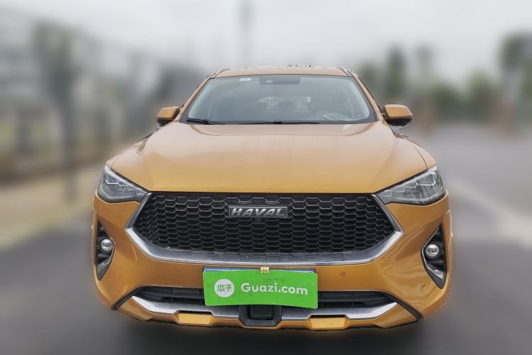 Used Haval F7 2019 2.0T Four-Wheel Drive 70th Anniversary Limited Edition Exterior 1