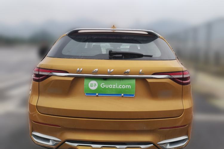 Used Haval F7 2019 2.0T Four-Wheel Drive 70th Anniversary Limited Edition Exterior 4