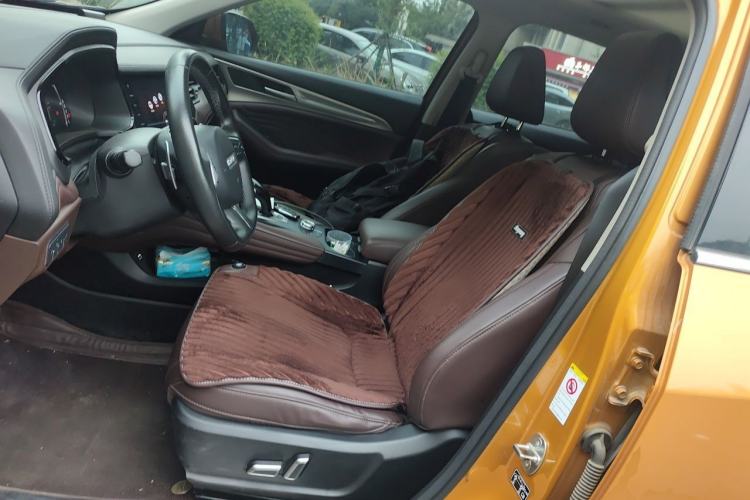 Used Haval F7 2019 2.0T Four-Wheel Drive 70th Anniversary Limited Edition Left Front Seat