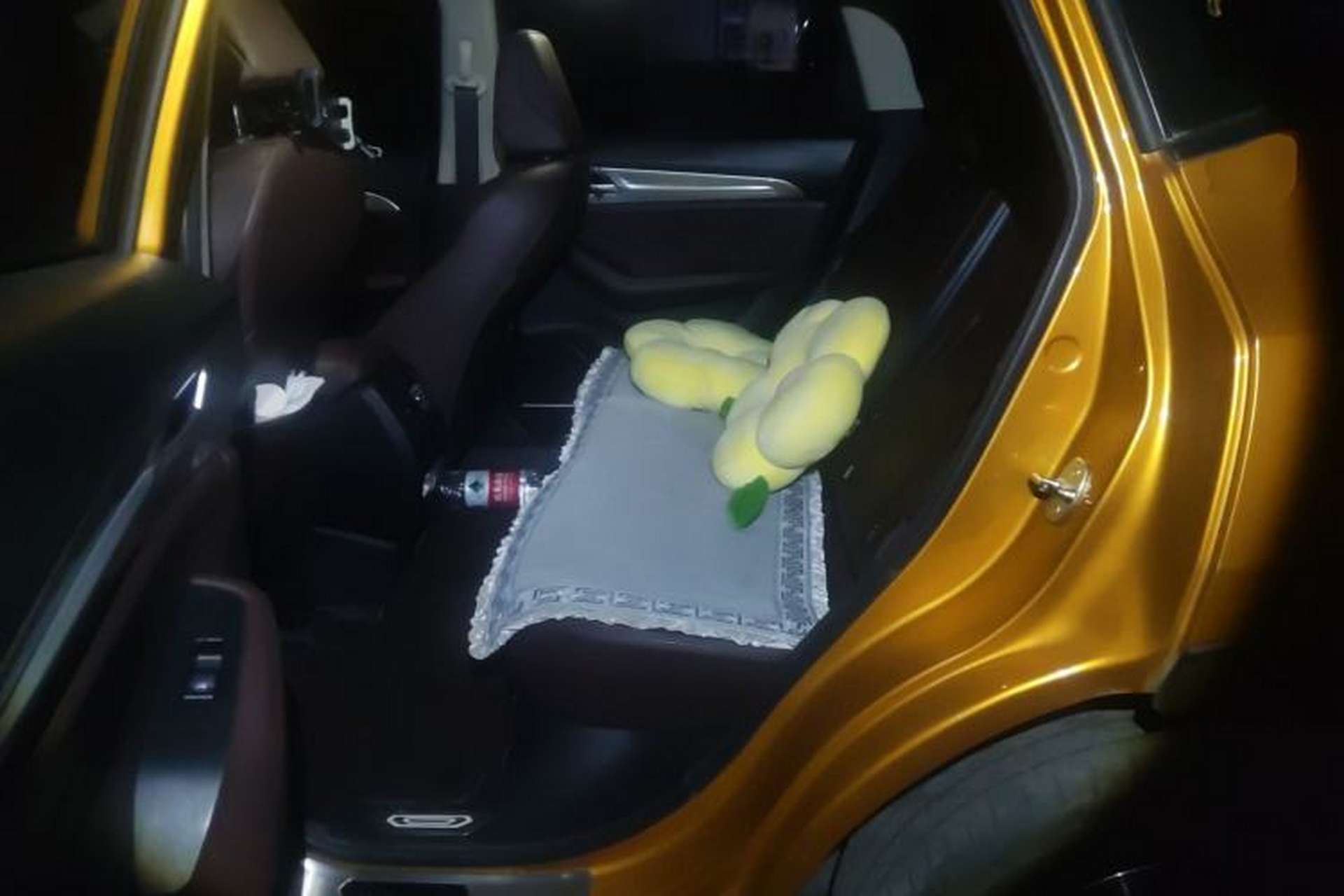 Used Haval F7 2019 2.0T Four-Wheel Drive 70th Anniversary Limited Edition Left Rear Seat