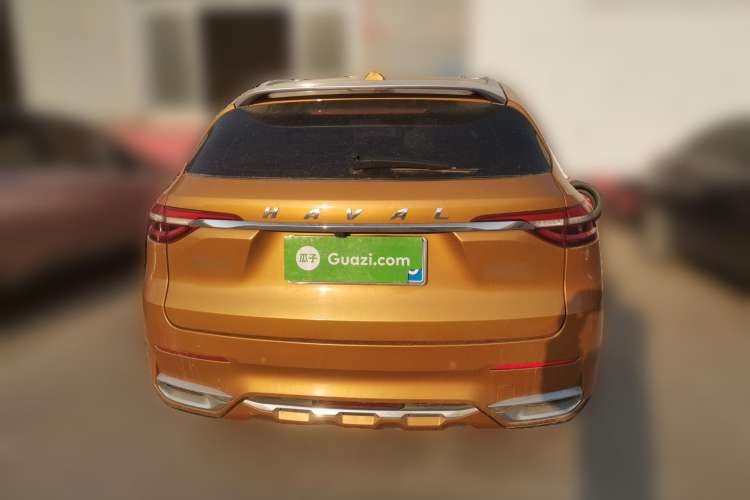 Used Haval F7 2019 2.0T Four-Wheel Drive 70th Anniversary Limited Edition Rear