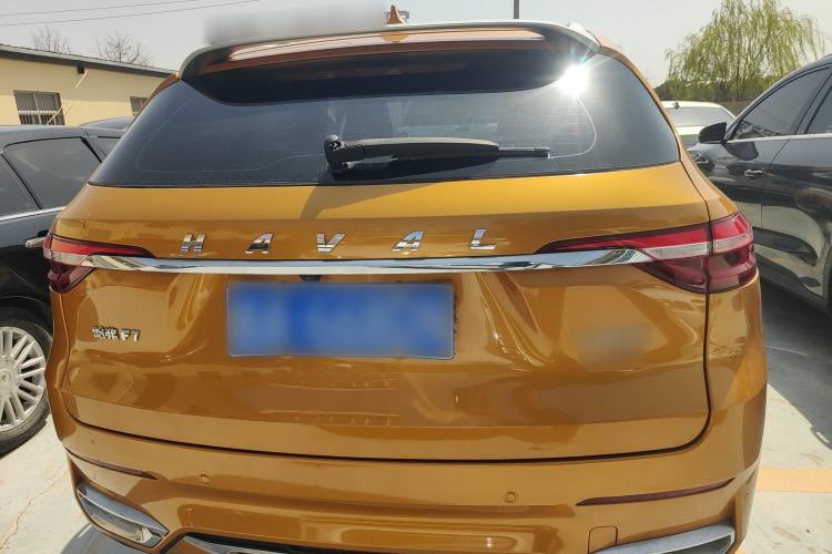 Used Haval F7 2019 2.0T Four-Wheel Drive 70th Anniversary Limited Edition Rear