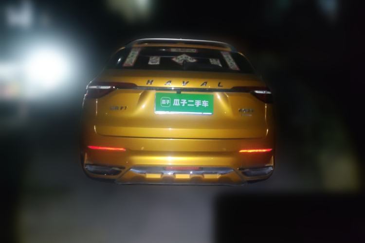 Used Haval F7 2019 2.0T Four-Wheel Drive 70th Anniversary Limited Edition Rear