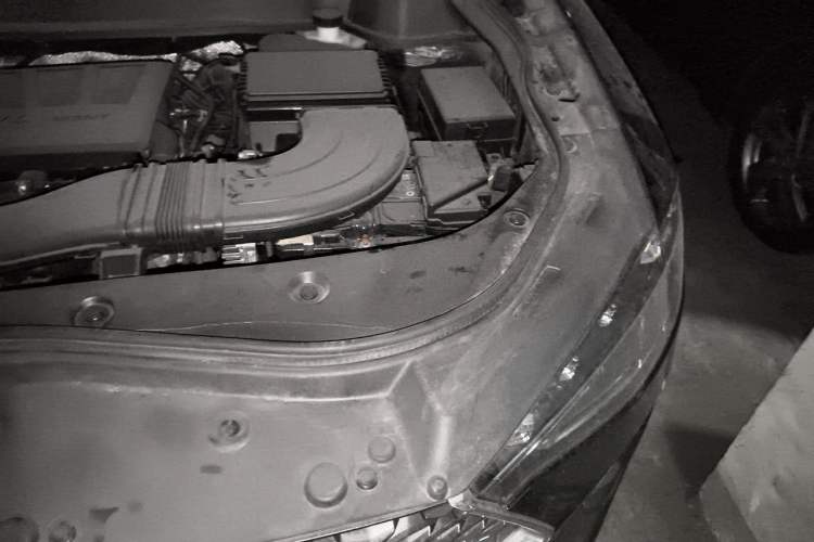 Used Haval F7 2020 1.5T Two-Wheel Drive i-Trend Engine Bay Left