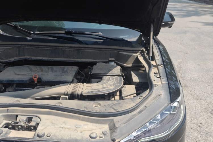 Used Haval F7 2020 1.5T Two-Wheel Drive i-Trend Engine Bay Left
