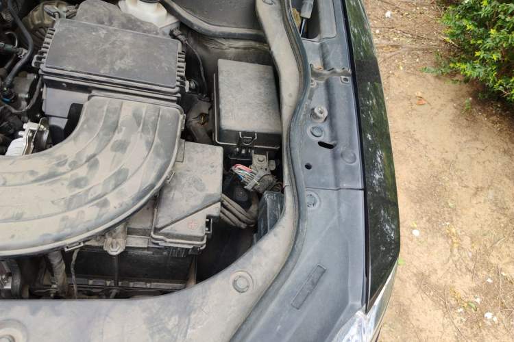 Used Haval F7 2020 1.5T Two-Wheel Drive i-Trend Engine Bay Left