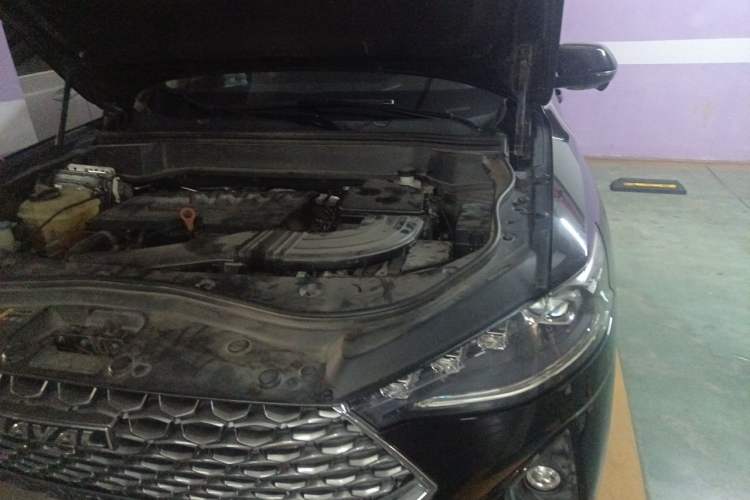 Used Haval F7 2020 1.5T Two-Wheel Drive i-Trend Engine Bay Left