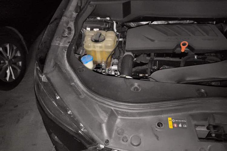 Used Haval F7 2020 1.5T Two-Wheel Drive i-Trend Engine Bay Right