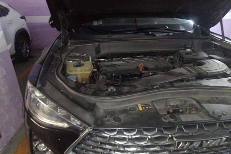 Used Haval F7 2020 1.5T Two-Wheel Drive i-Trend Engine Bay Right