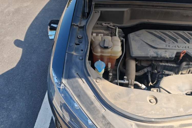 Used Haval F7 2020 1.5T Two-Wheel Drive i-Trend Engine Bay Right
