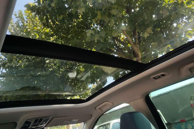 Used Haval F7 2020 2.0T Two-Wheel Drive i-Van Headliner
