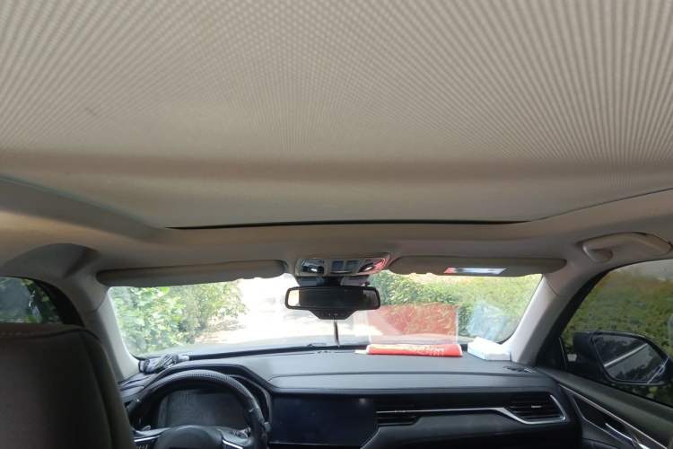 Used Haval F7 2020 1.5T Two-Wheel Drive i-Type Headliner