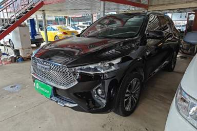 Used Haval F7 2020 2.0T Two-Wheel Drive i-Van