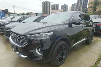 Used Haval F7 2020 2.0T Two-Wheel Drive i-Van