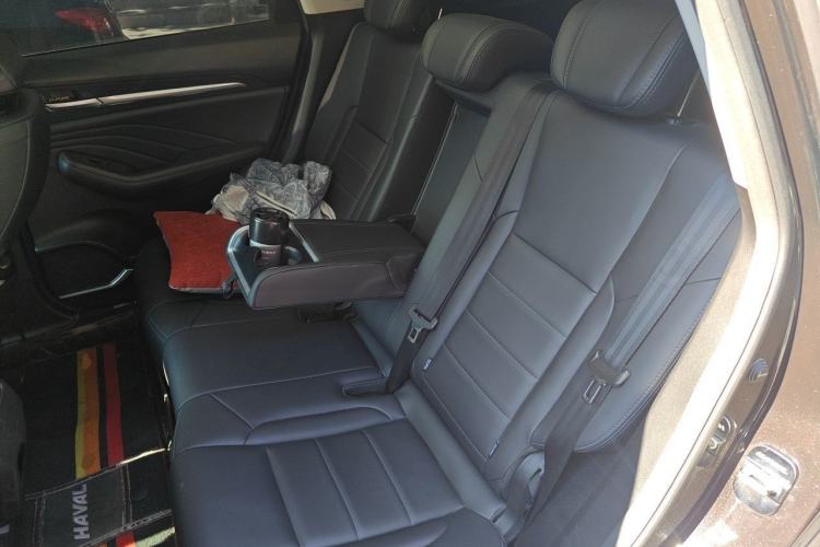 Used Haval F7 2020 2.0T Two-Wheel Drive i-Van Left Rear Seat
