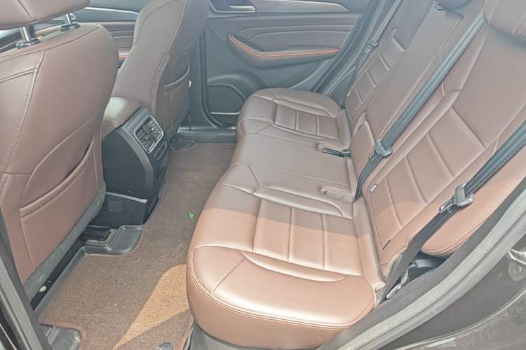 Used Haval F7 2020 1.5T Two-Wheel Drive i-Trend Left Rear Seat