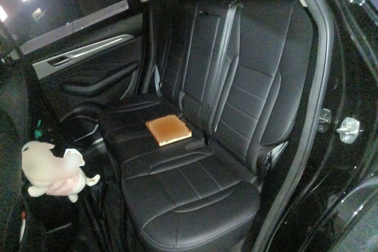 Used Haval F7 2020 1.5T Two-Wheel Drive i-Trend Left Rear Seat