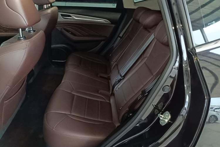 Used Haval F7 2020 1.5T Two-Wheel Drive i-Trend Left Rear Seat