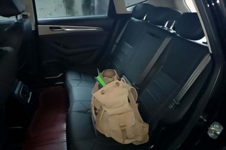 Used Haval F7 2020 2.0T Two-Wheel Drive i-Van Left Rear Seat