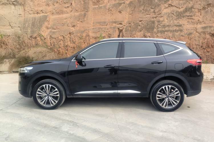Used Haval F7 2020 2.0T Two-Wheel Drive i-Van Left Side