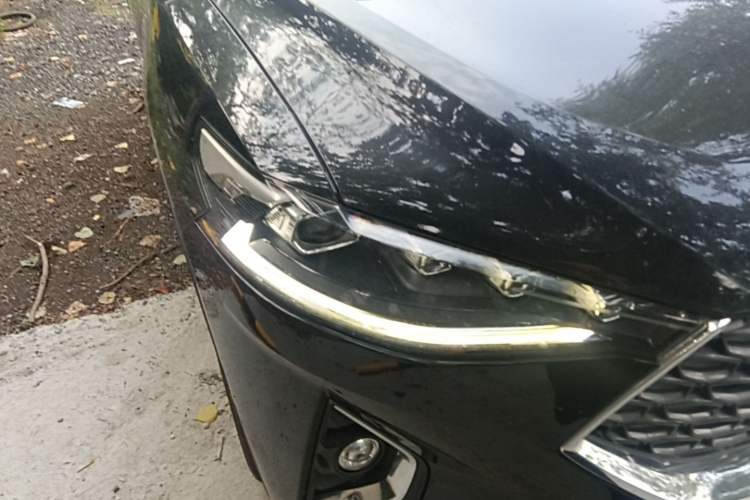 Used Haval F7 2020 2.0T Two-Wheel Drive i-Van Right Front Headlight