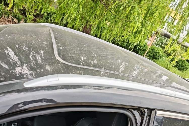Used Haval F7 2020 1.5T Two-Wheel Drive i-Trend Roof