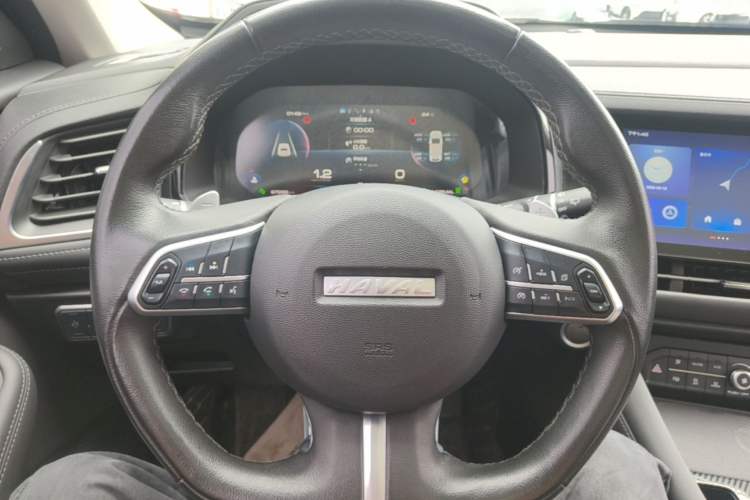 Used Haval F7 2020 2.0T Two-Wheel Drive i-Van Steering Wheel