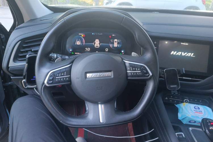 Used Haval F7 2020 2.0T Two-Wheel Drive i-Van Steering Wheel