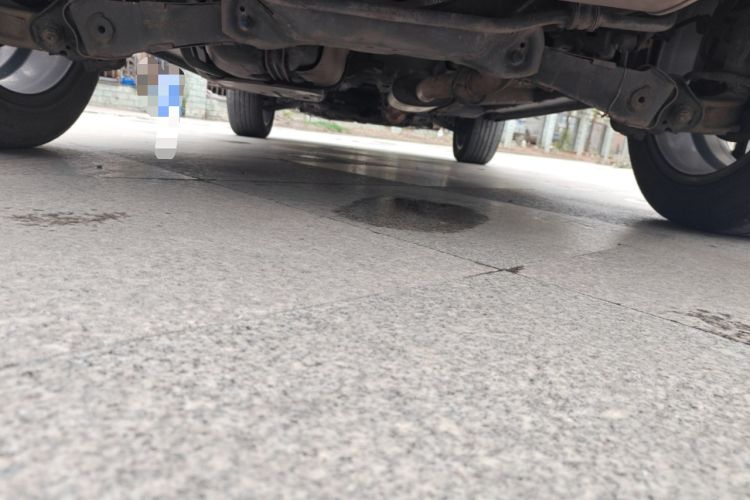 Used Haval F7 2020 1.5T Two-Wheel Drive i-Trend Chassis Rear