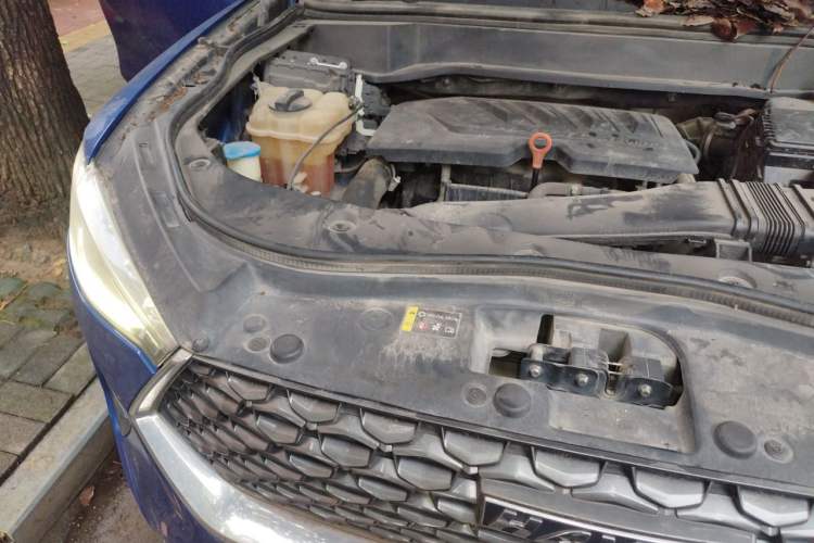 Used Haval F7 2020 1.5T Two-Wheel Drive i-Trend Engine Bay Right