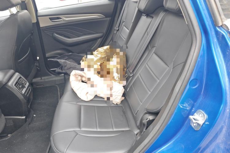 Used Haval F7 2020 1.5T Two-Wheel Drive i-Trend Left Rear Seat